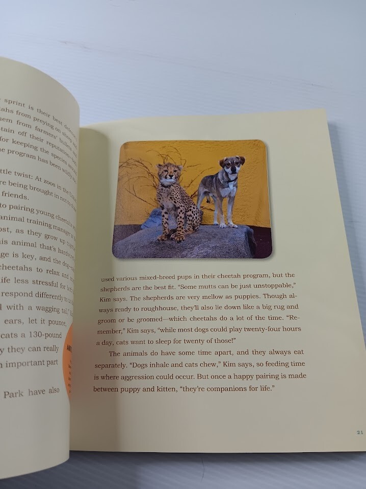 Unlikely Friendships 47 Stories from the Animal Kingdom Jennifer S Holland