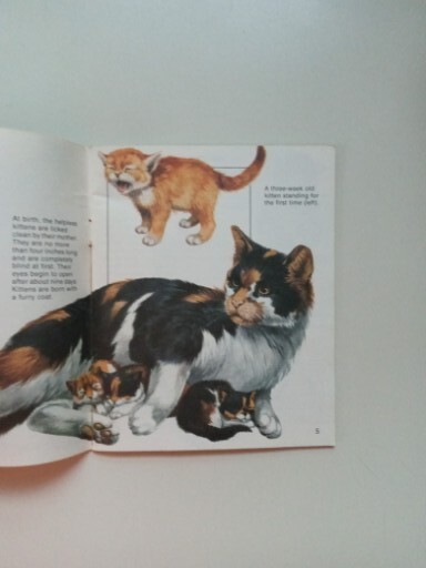 SCIMITAR NP Cats By Jill Hughes 1981 Paperback