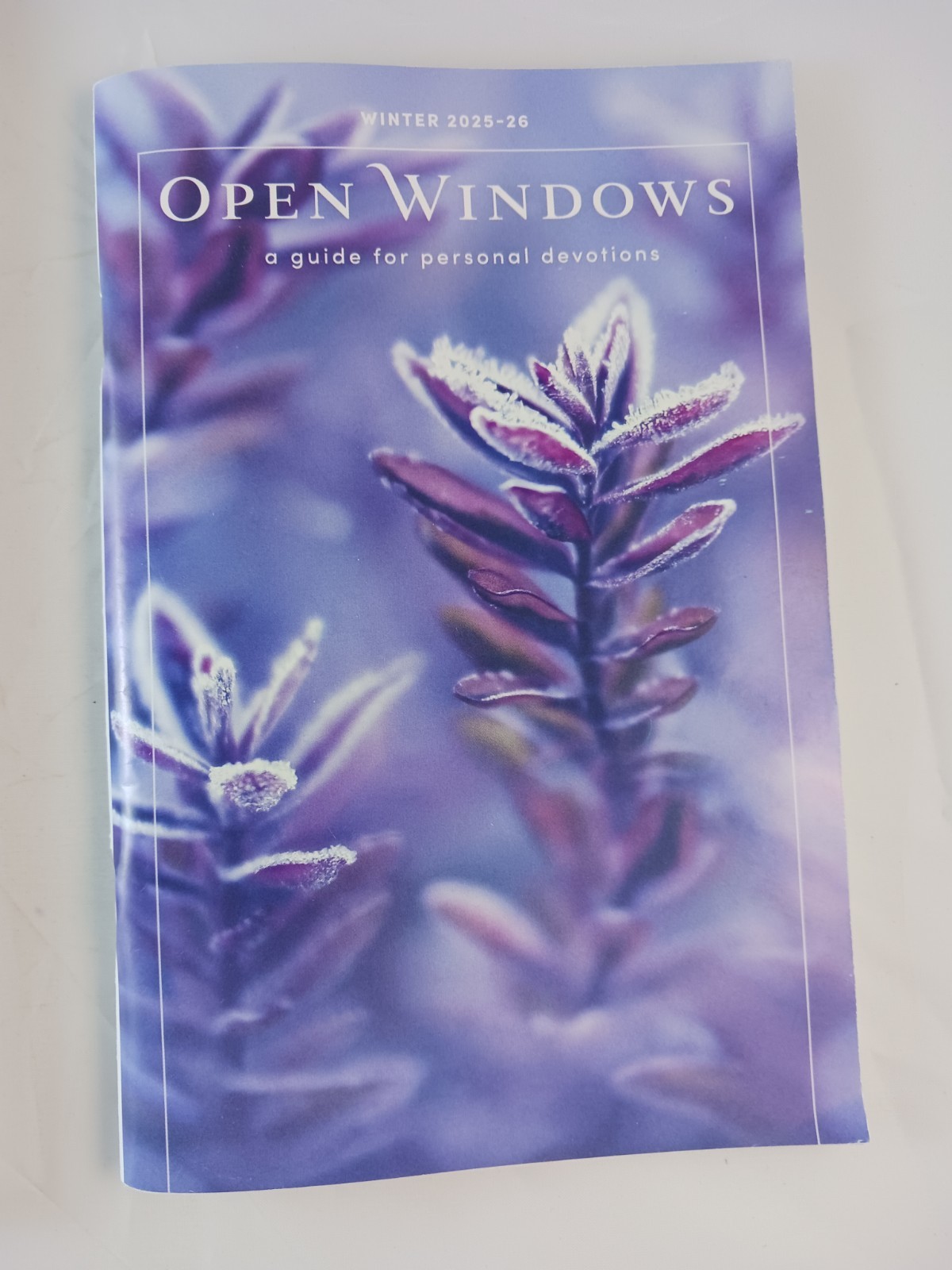 Open Windows Devotions Winter 25-26 & Bible Studies For Life Study Guide 2 Books