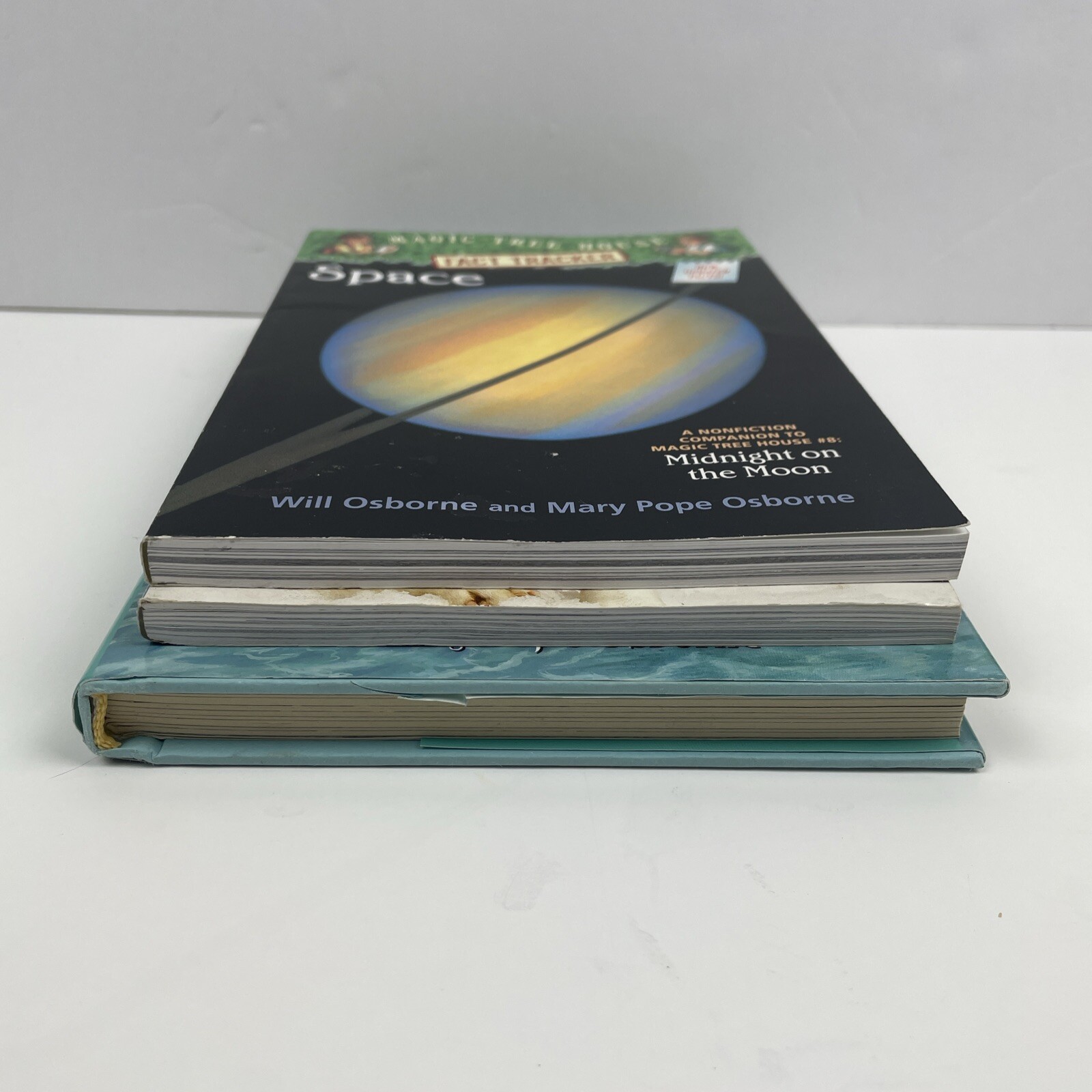 Magic Tree House Lot Fact Tracker Space,Dog Heroes, Book #53 Shadow of the Shark