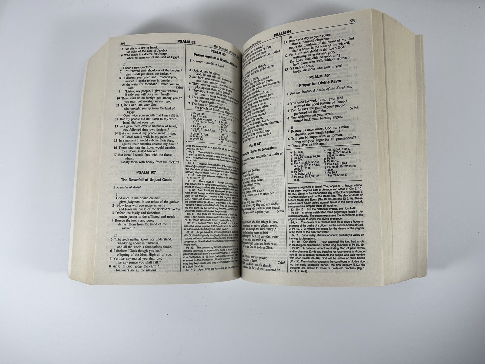 The New American Bible World Catholic Press 1991 PB