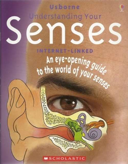 Understanding Your Senses Paperback Rebecca Treays