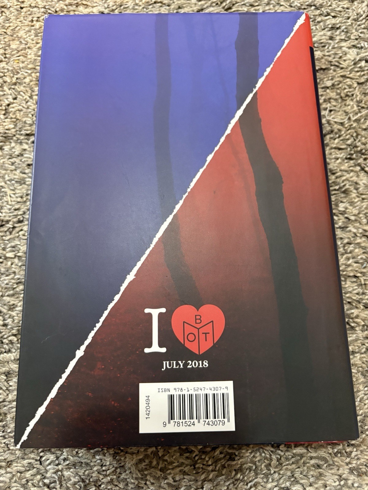 The Last Time I Lied by Riley Sager BOTM Thriller Hardcover Novel 2018