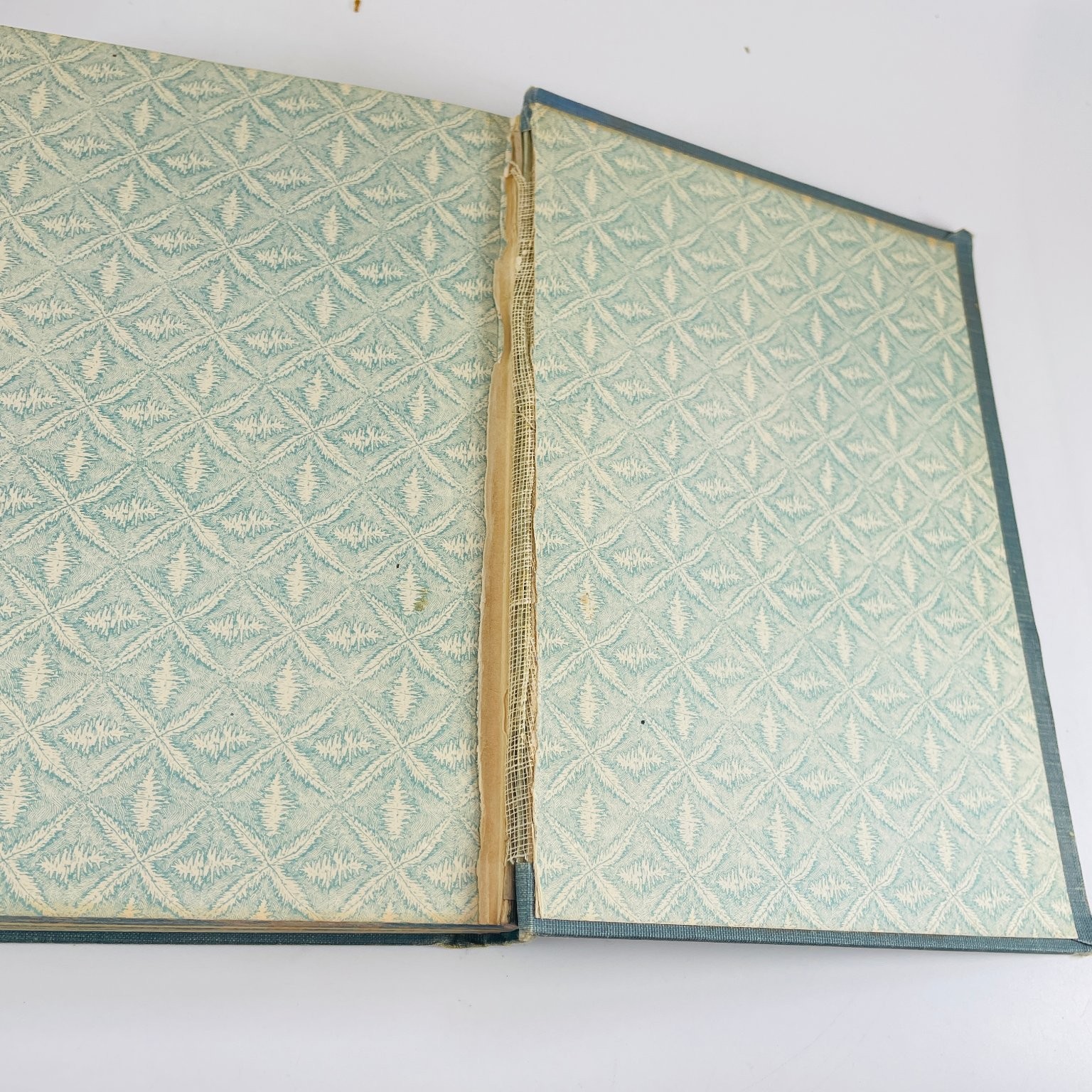 Memorial Life of William McKinley Townsend 1901 Illustrated Biography History