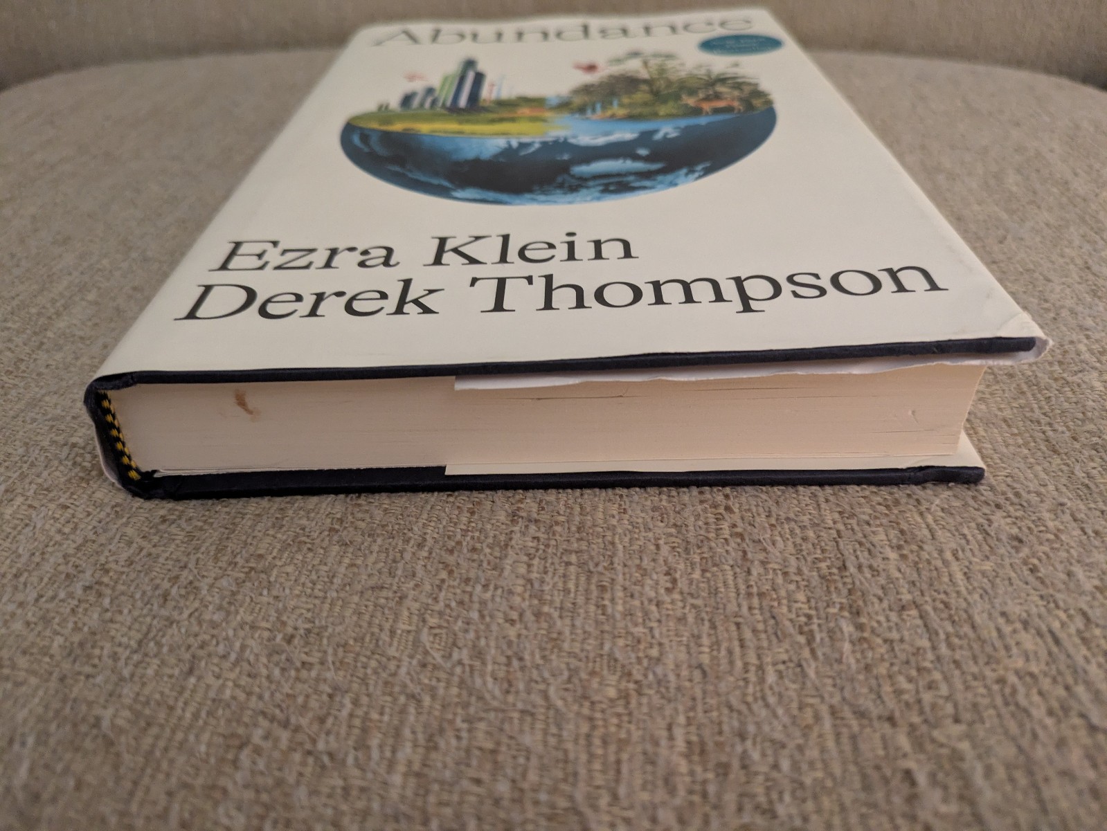 Abundance | Ezra Klein & Derek Thompson | 2025 Hardcover | LIBERALISM!