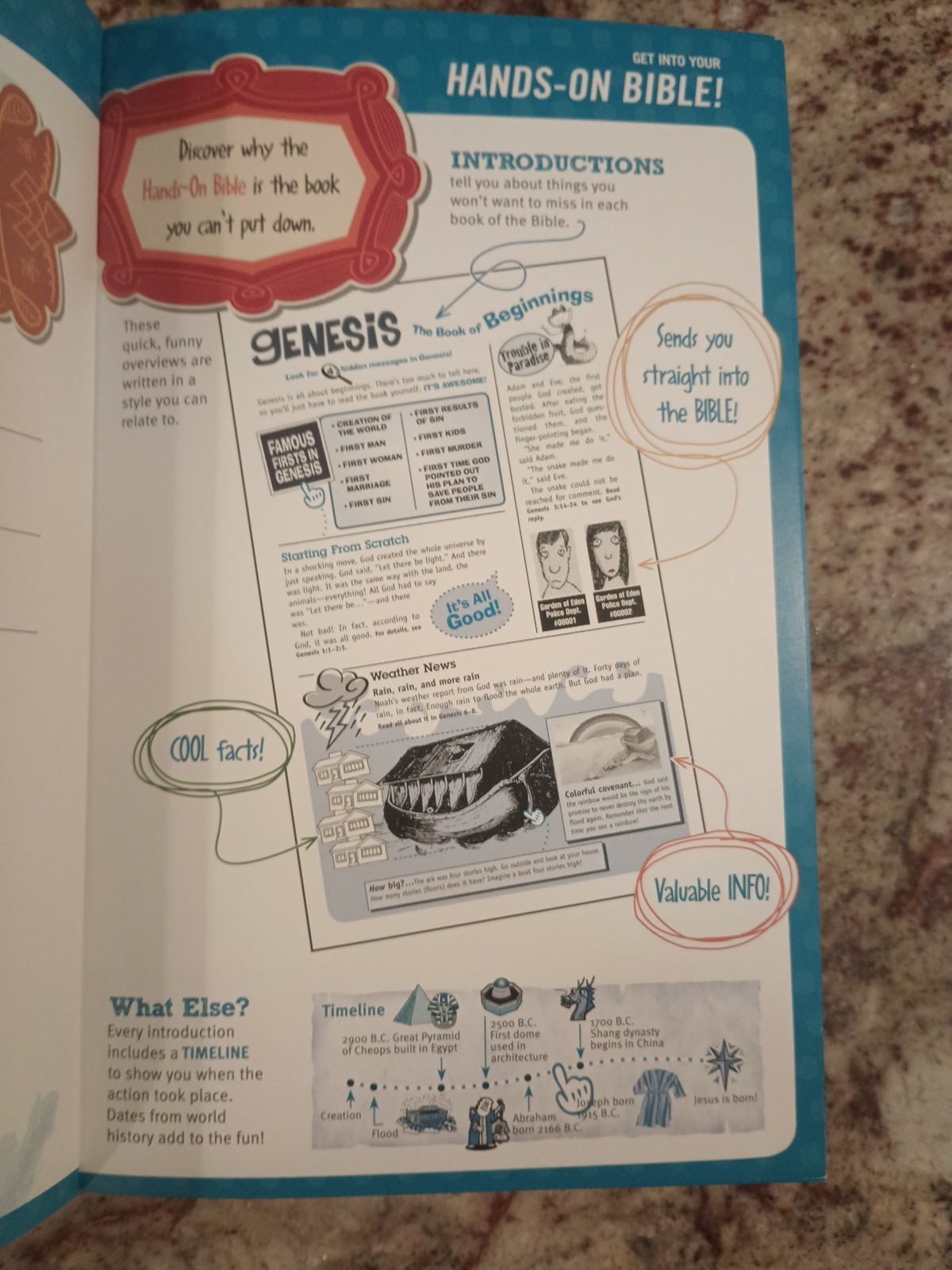 Hands-On Bible : Packed with Experiences That Get Kids into the Bible