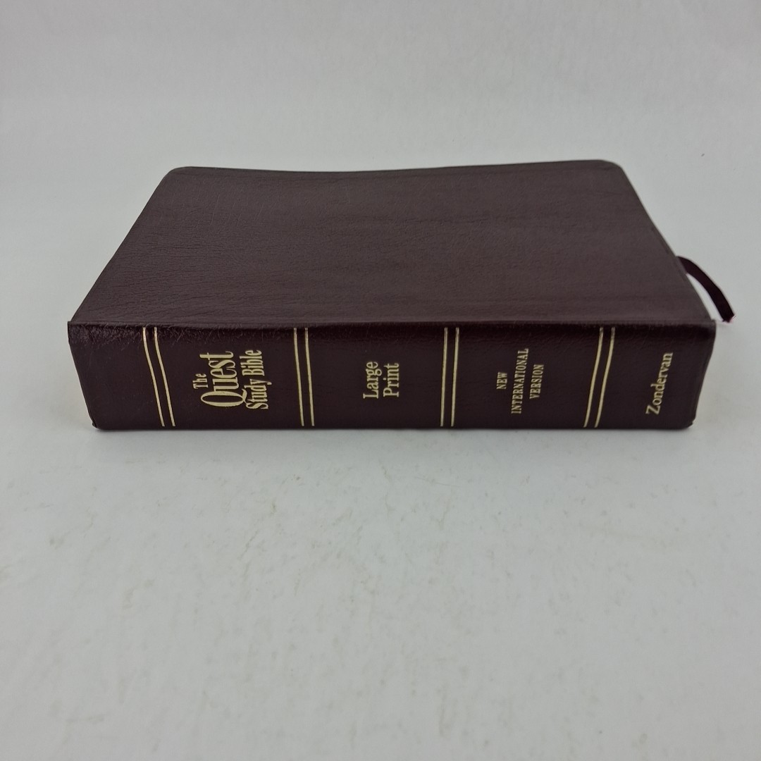The Quest Study Bible New International Version Bonded Leather Large Print