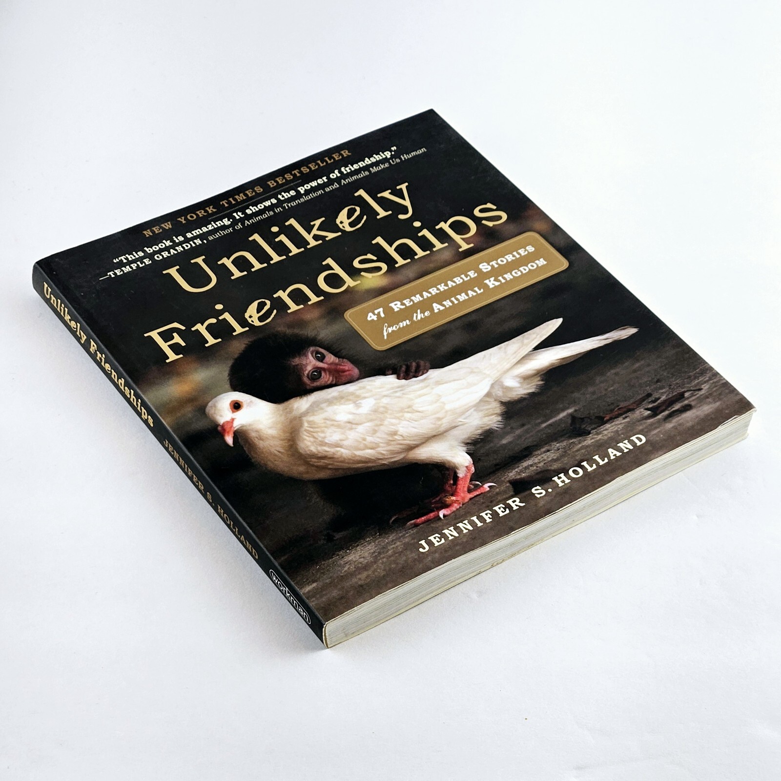 Unlikely Friendships Jennifer S. Holland Gift Book Adorable Animal Stories