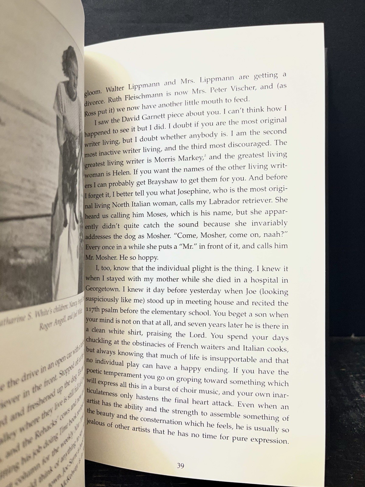 E. B. White on Dogs by Martha White (2013, Hardcover) Like New Y1