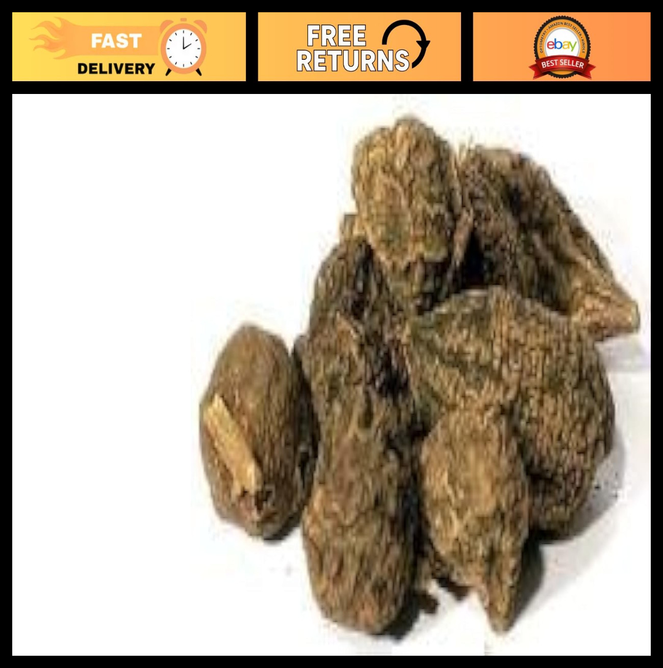High John the Conqueror Root – 1 oz Bulk Herbal Supplement for Luck & Success