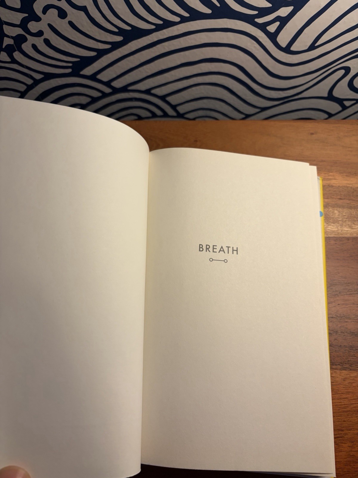 Breath By James Nestor, hardcover, free shipping