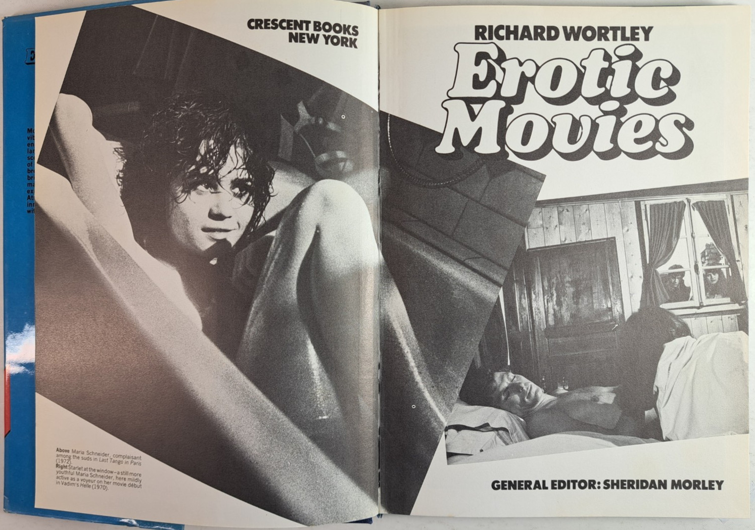 Erotic Movies by Richard, Hardcover, Dust Jacket, 1977