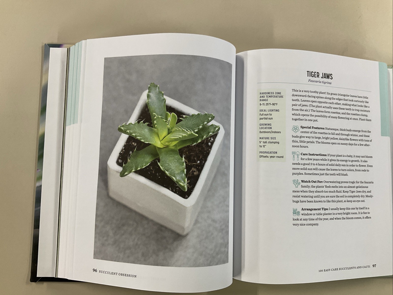 Succulent Obsession Complete Guide by Ken Shelf HC 2022 Rockridge Press