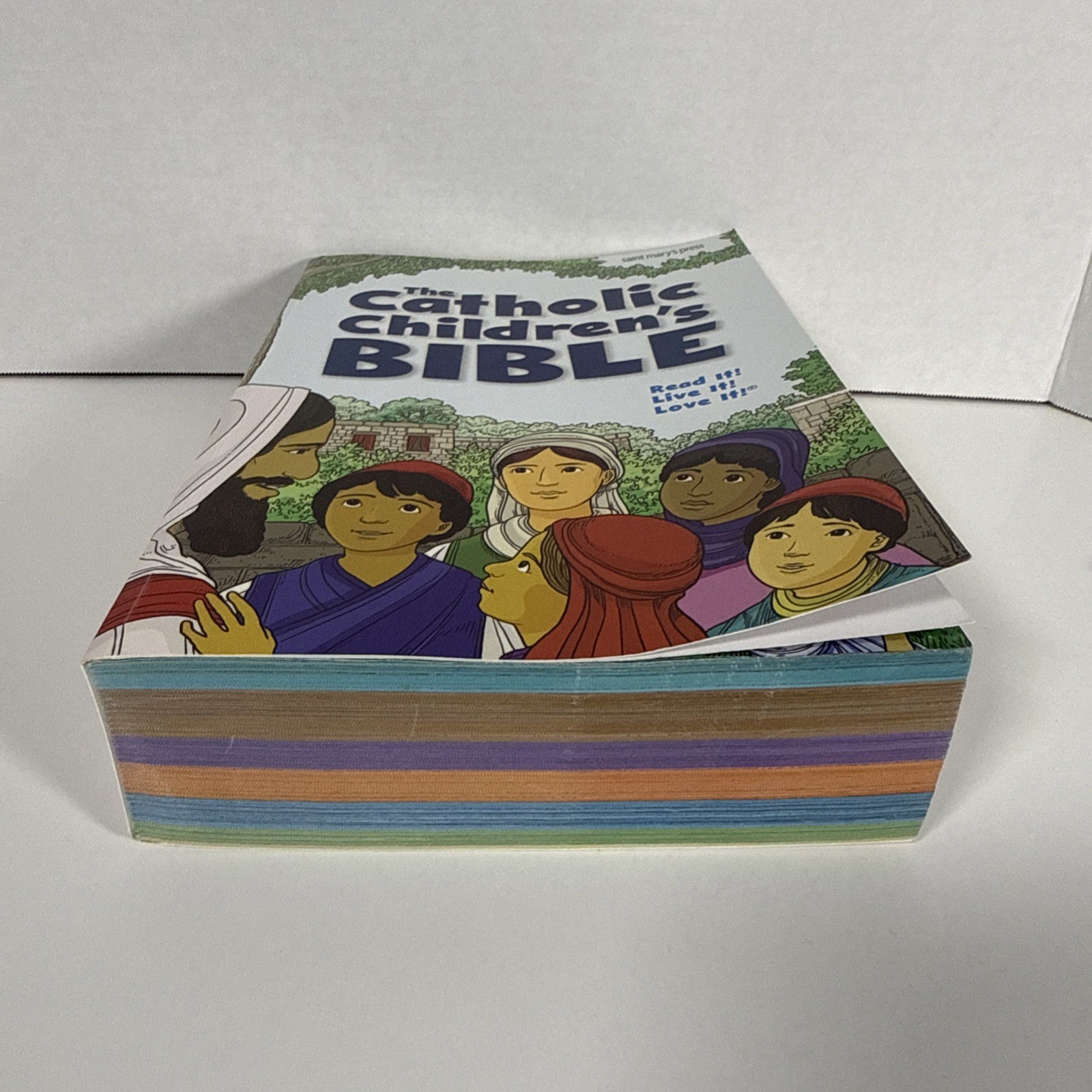 Catholic Children’s Bible by Saint Mary’s Press Staff (2018, Trade Paperback)