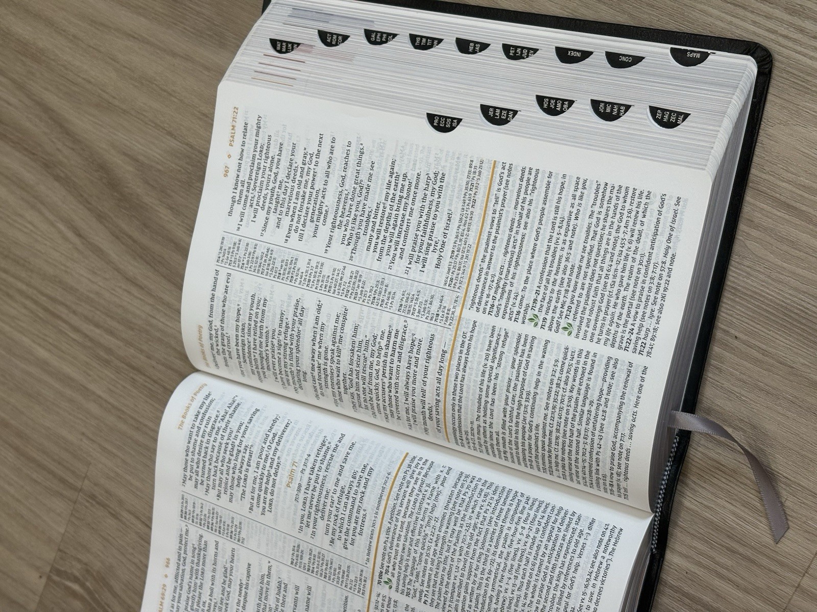NIV New International Version Study Bible Black Leather Zondervan 2020