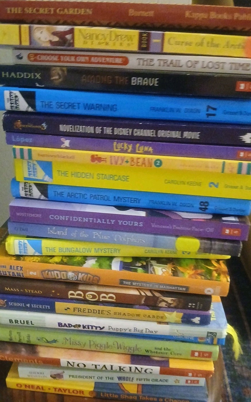 Lot of 30 Chapter INSTANT LIBRARY Children’ Early Readers Random Mix