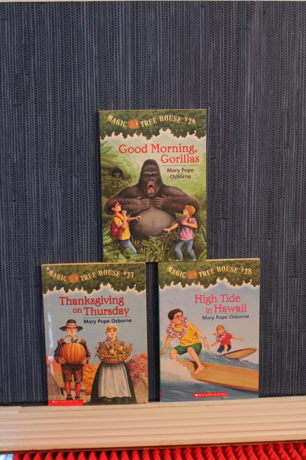 Magic Tree House Series 1-13 & 16-28 Chapter Book Lot Homeschool Teach Osborne