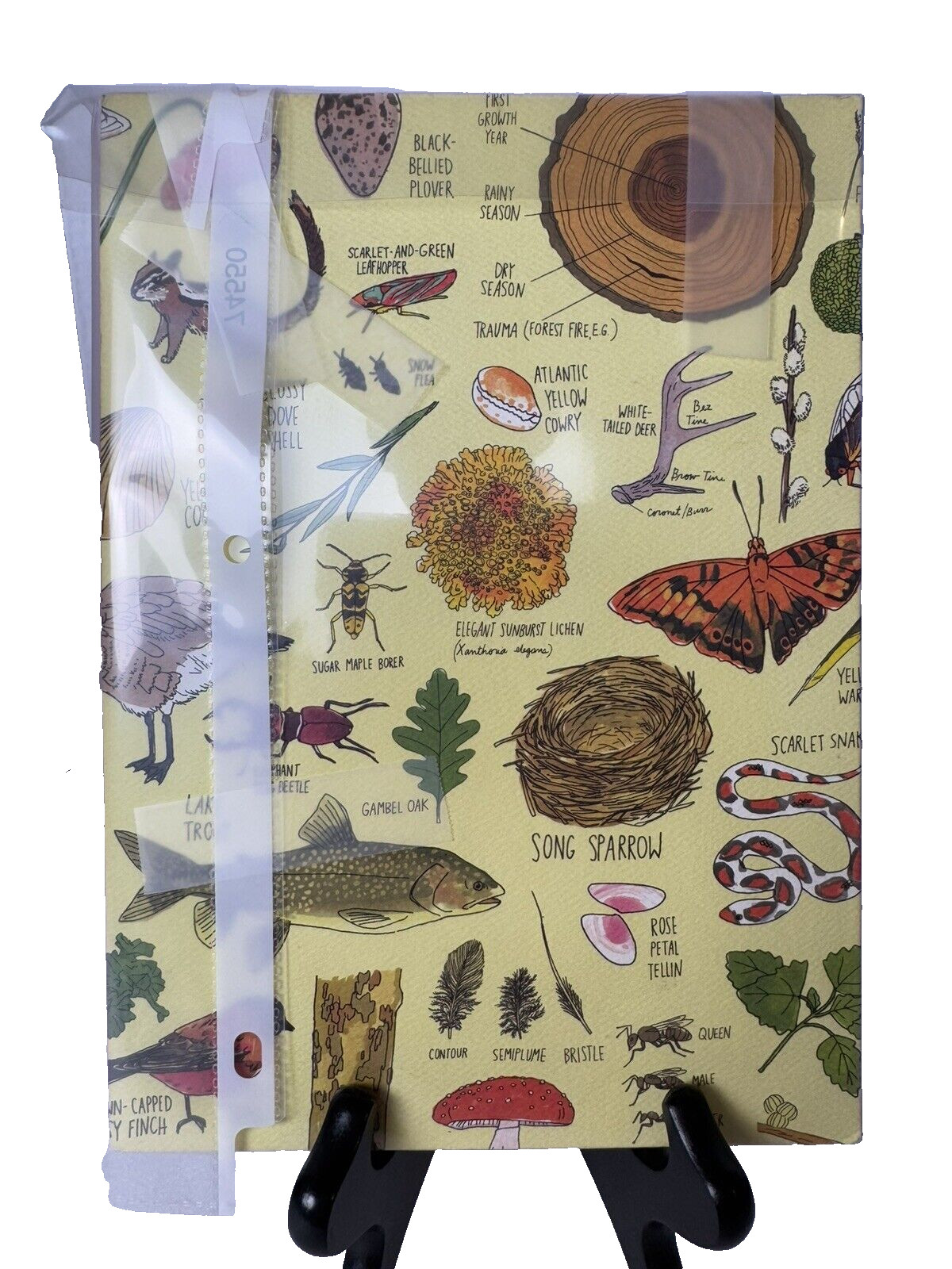 Julia Rothman 2019 Illustrated Nature Journal Notebook Hardcover – New