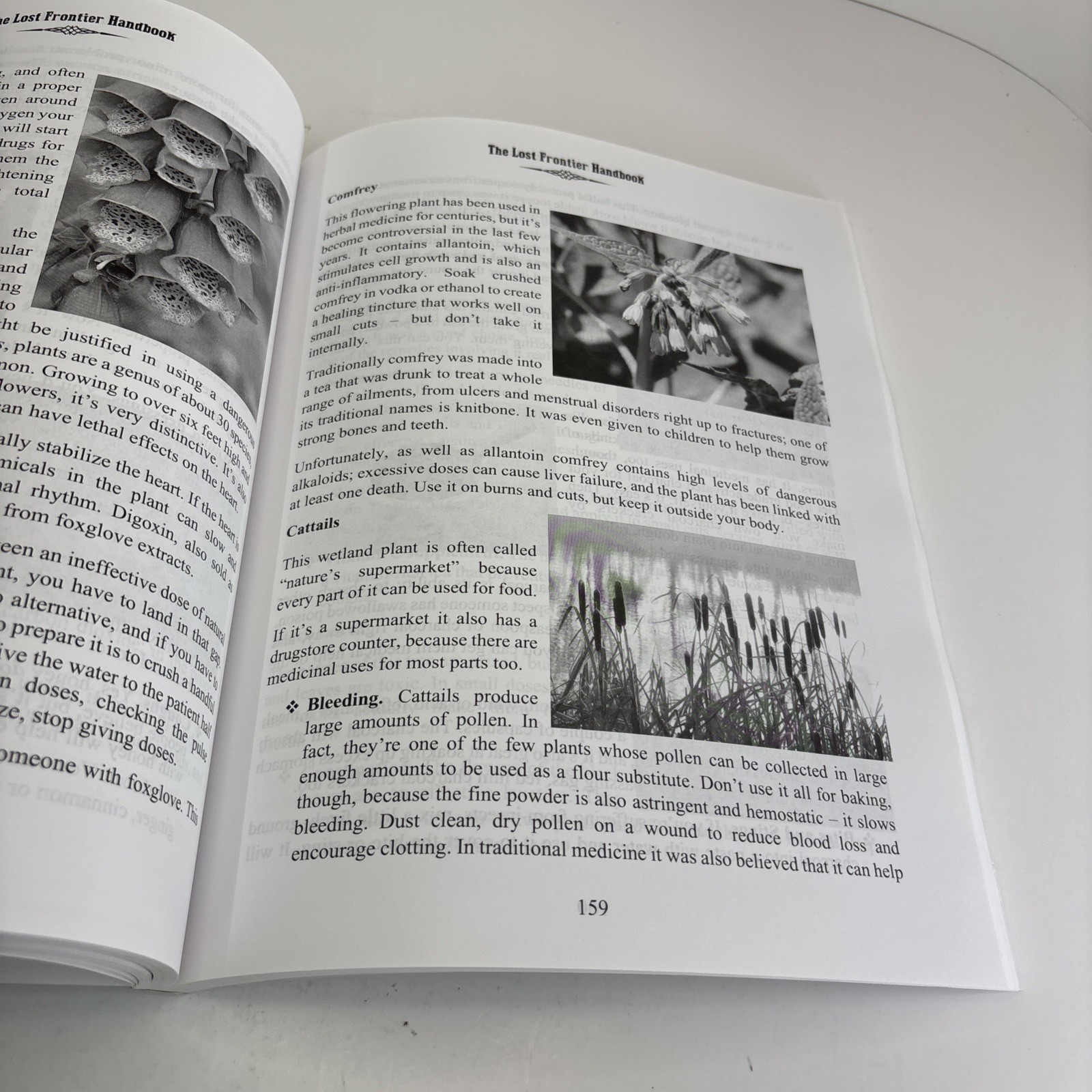 The Lost Frontier Handbook Suzanne Sherman Paperback Prepper Survival Skills
