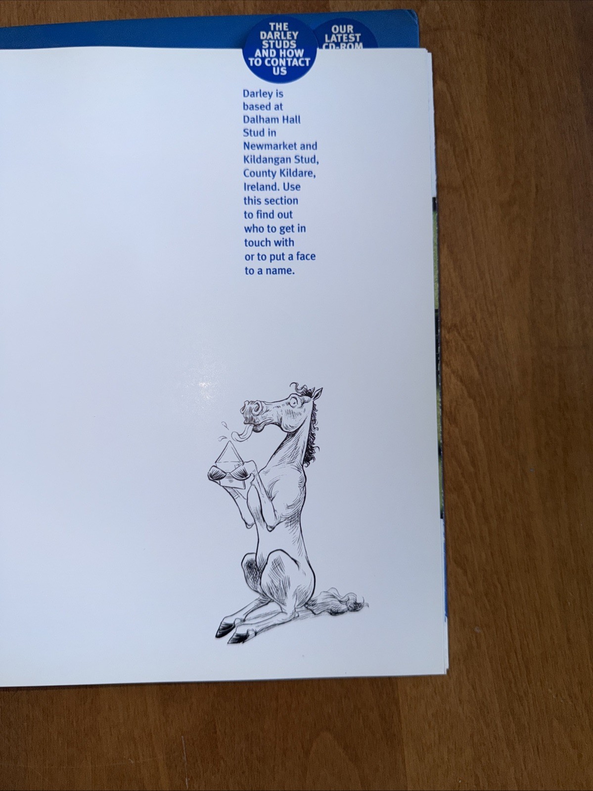 Darley Stallions 2001 Season Book RARE Racing Memorabilia
