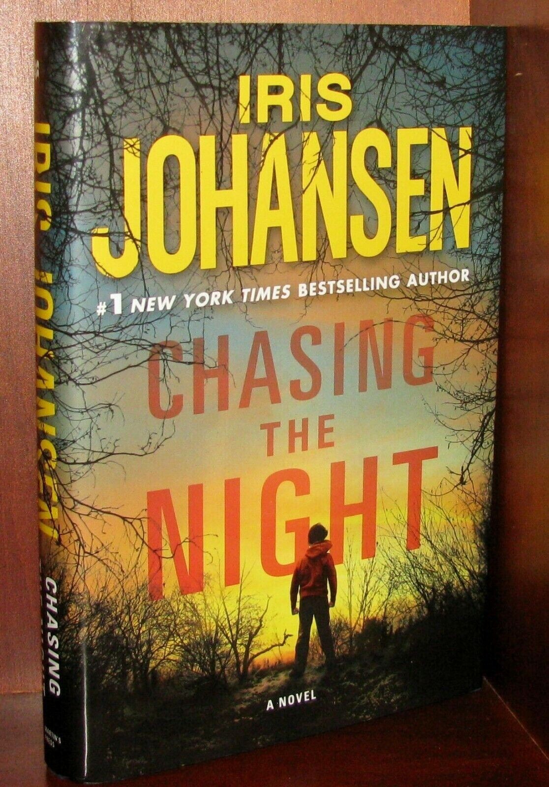 Chasing the Night Iris Johansen 1st Ed HC Eve Duncan Thriller