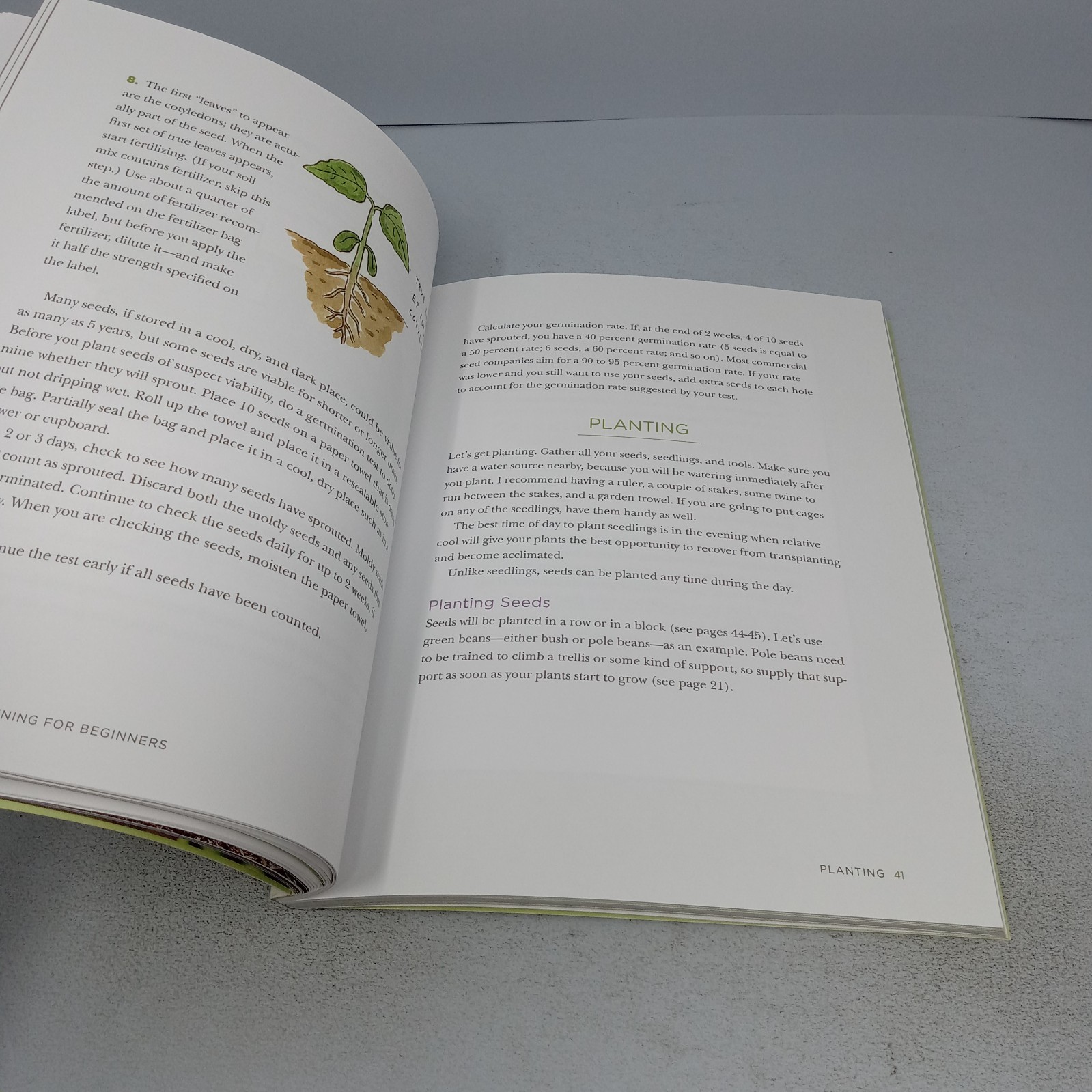 Raised-Bed Gardening for Beginners 2019 Rockridge Press Paperback by Tammy Wylie
