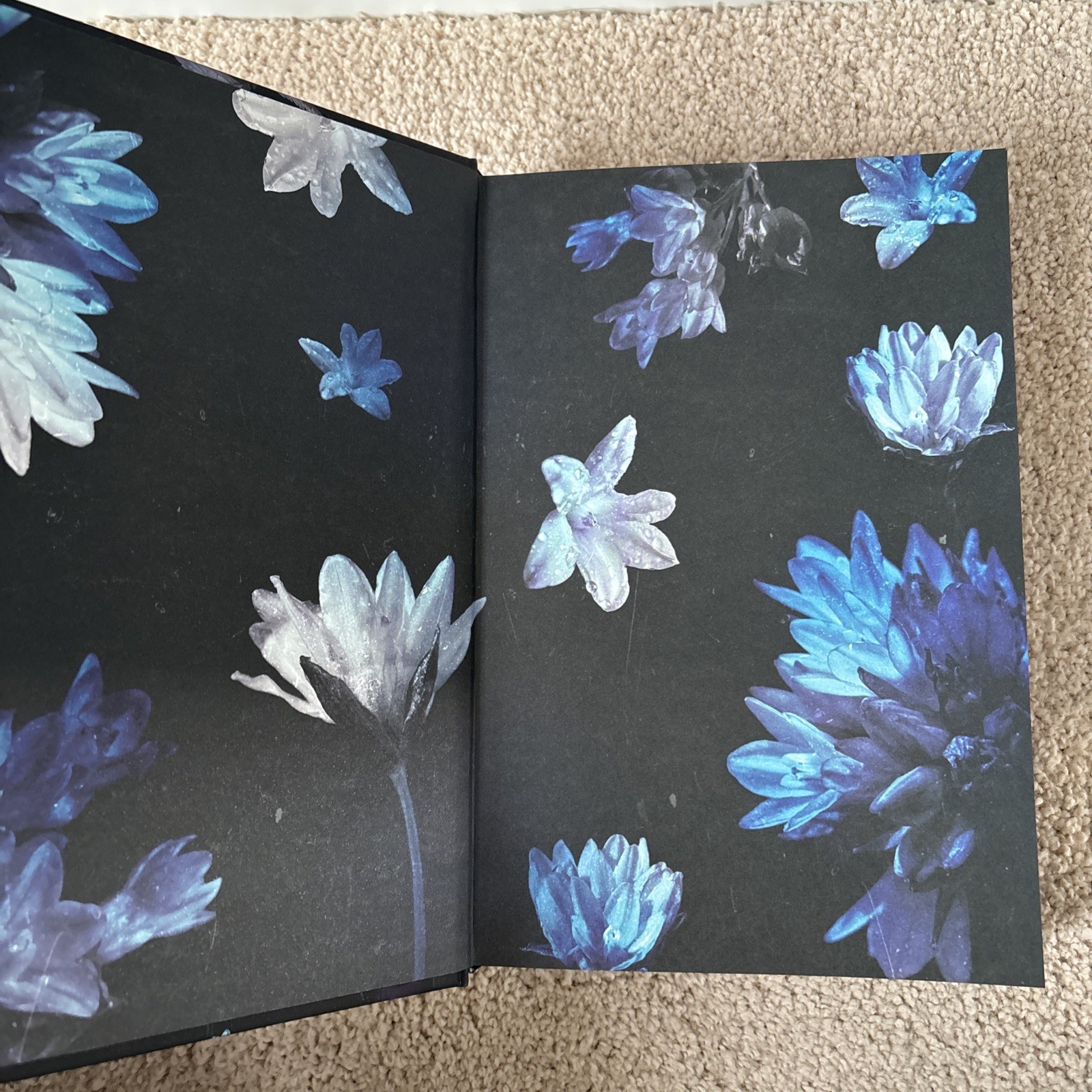 Irreversible by Jennifer Hartmann & Chelley St. Clair Mystic Box Special Edition