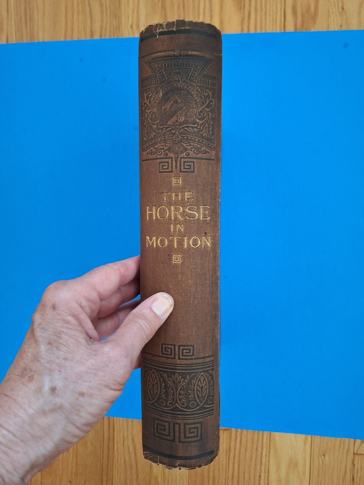 RARE c 1882 THE HORSE IN MOTION by J.D.B. Stillman Photos By Eadweard Muybridge