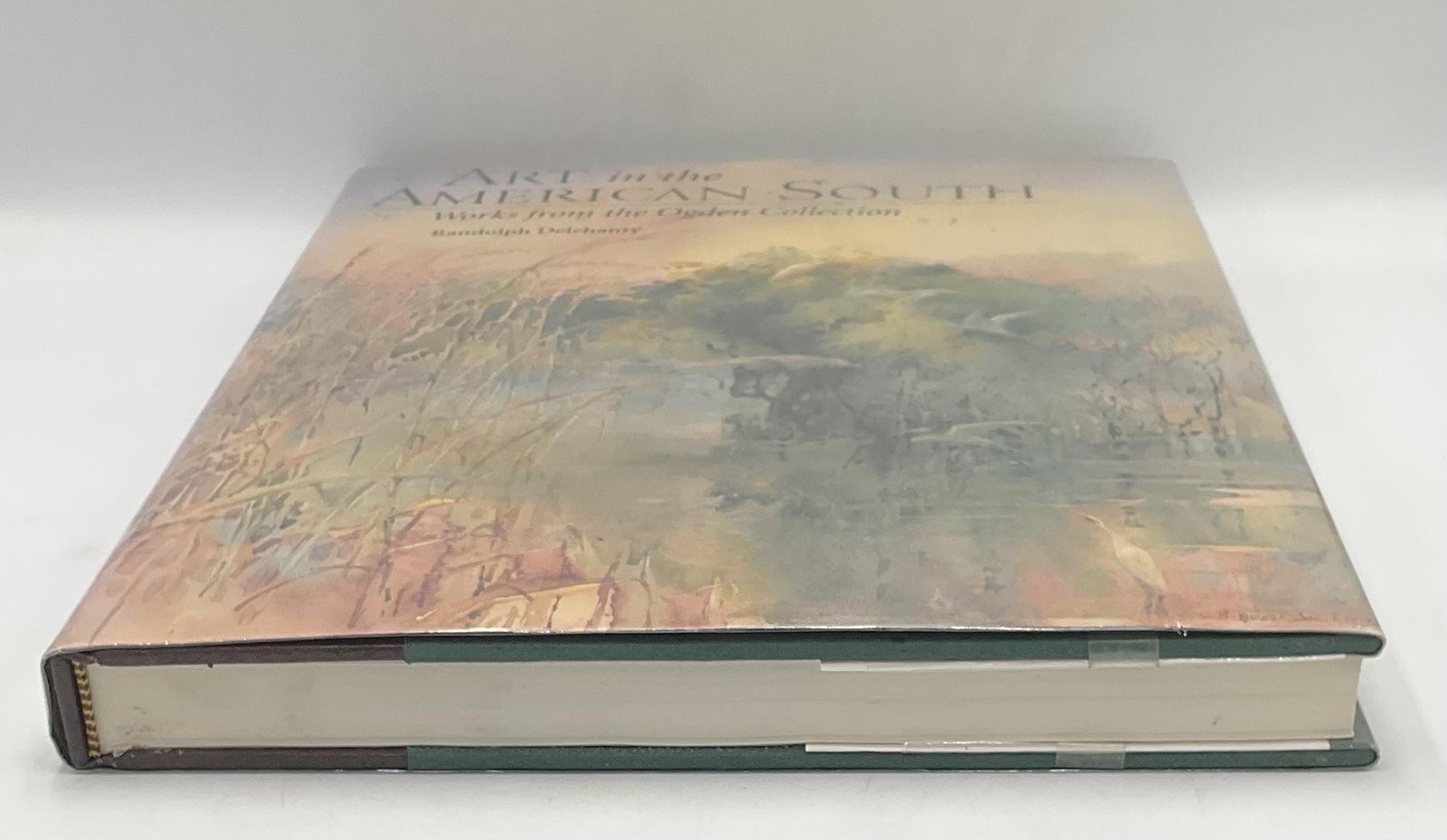 Art In The American South Randolph Delehanty 1996 Green HC Korea