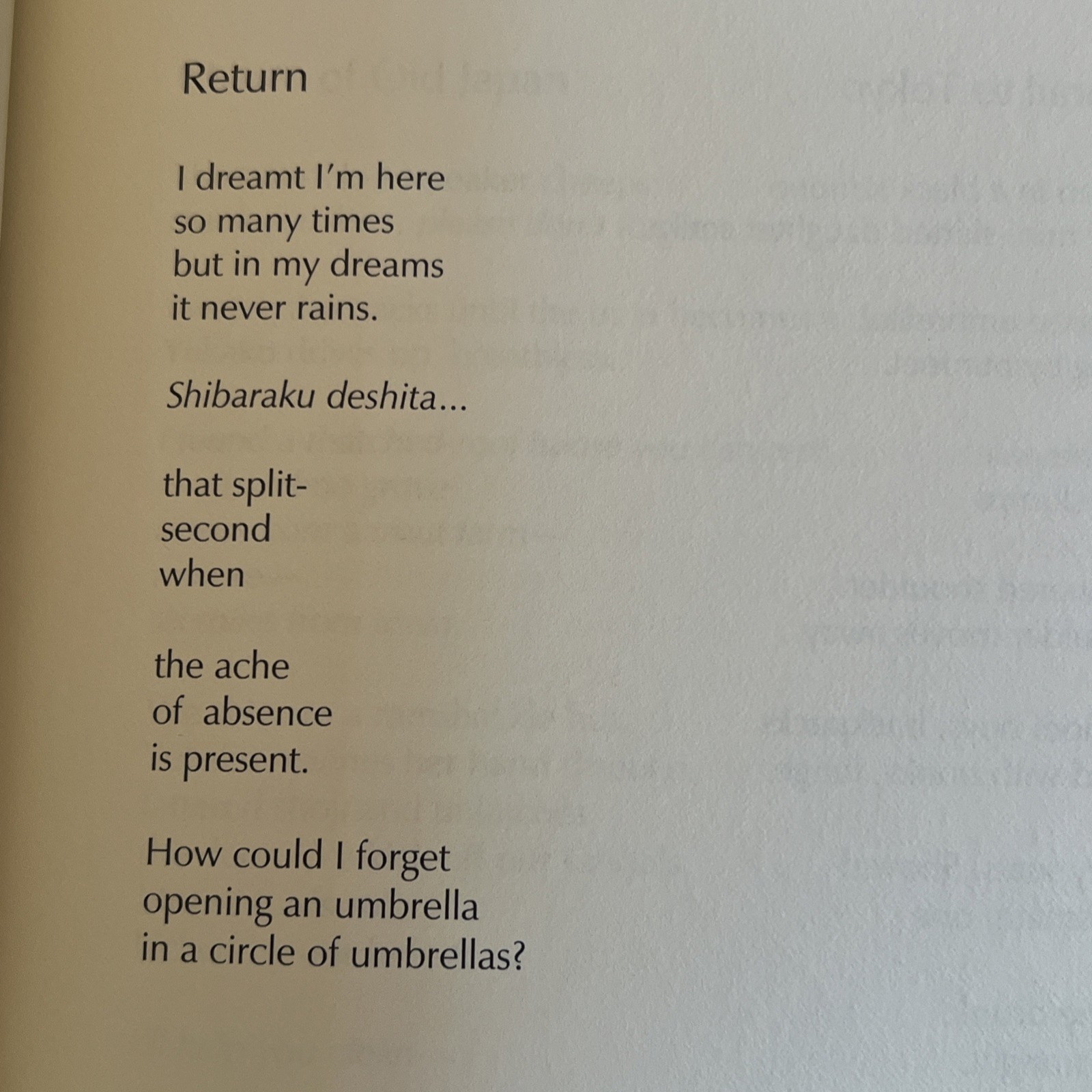 Shards Mashiko Poetry by Ann Holmes