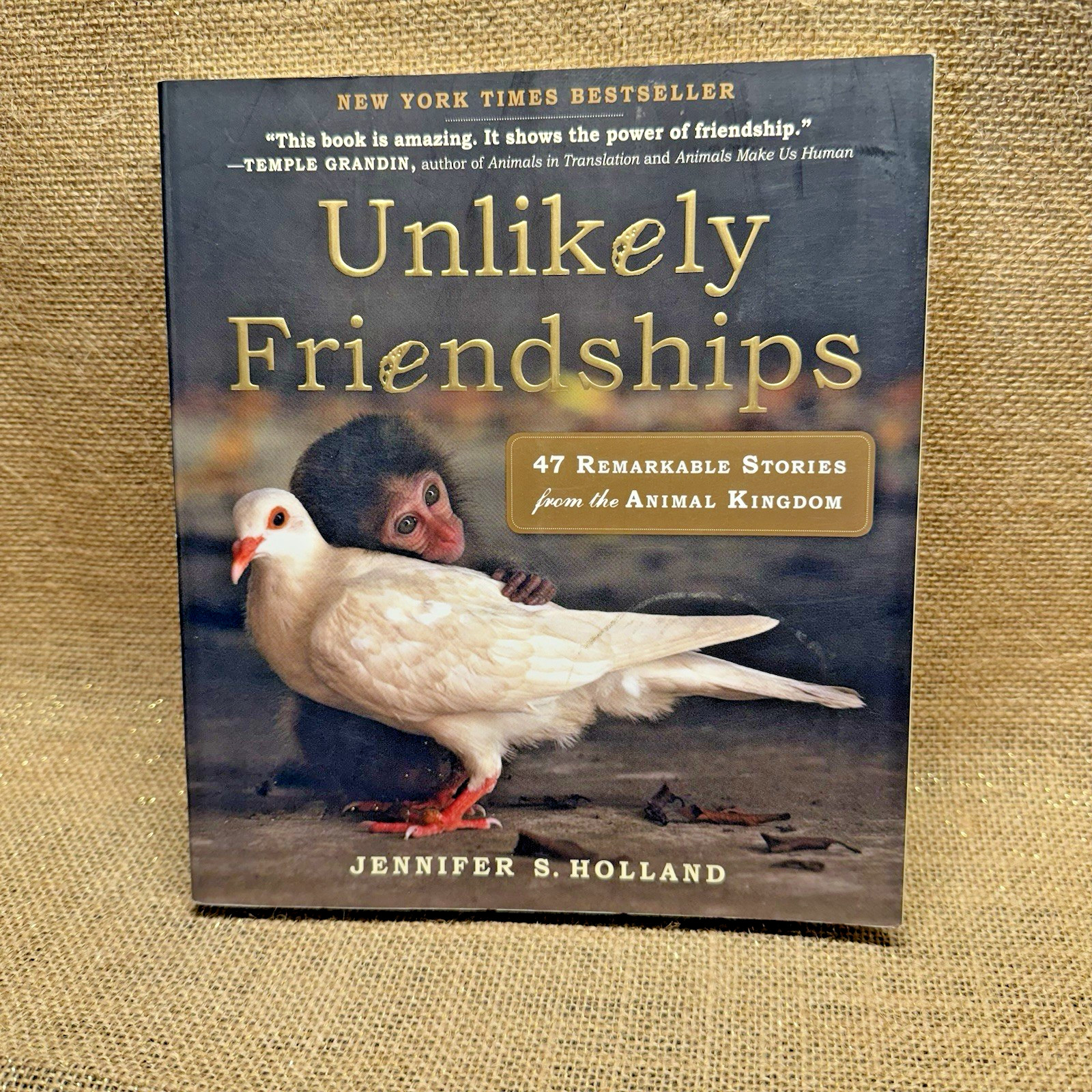 Unlikely Friendships by Jennifer S. Holland (2011, Paperback)