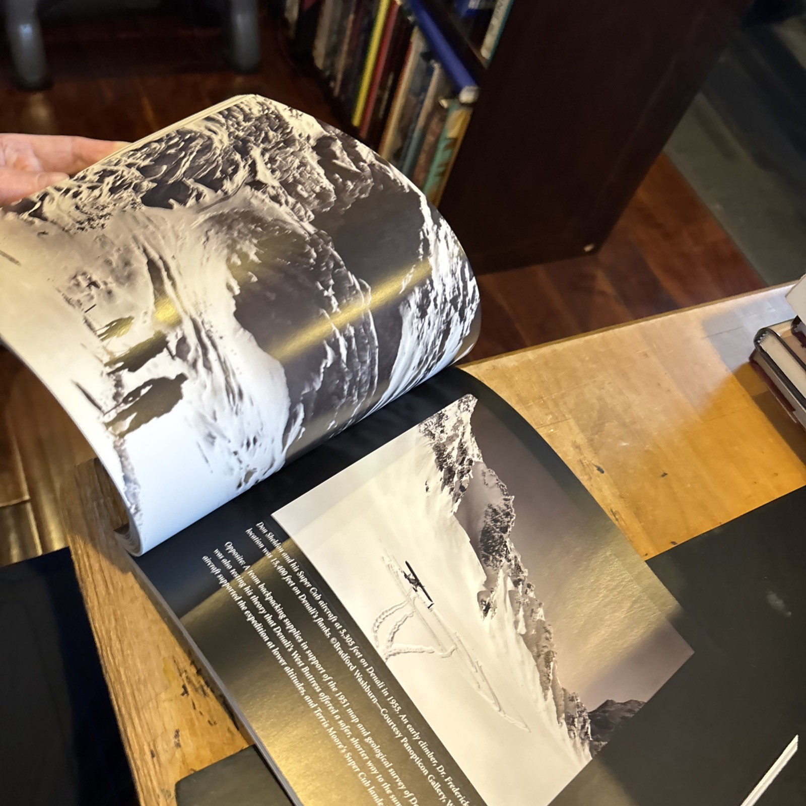 WINGS OVER DENALI : PHOTO HISTORY DENALI Signed Bruce McAllister 2004 pb 1st