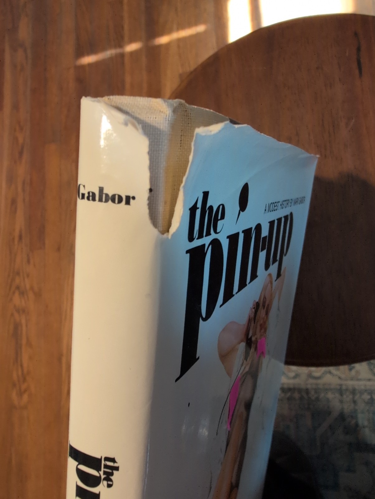 THE PIN-UP a Modest History Mark Gabor + The Book of Nude Photography Hardcover