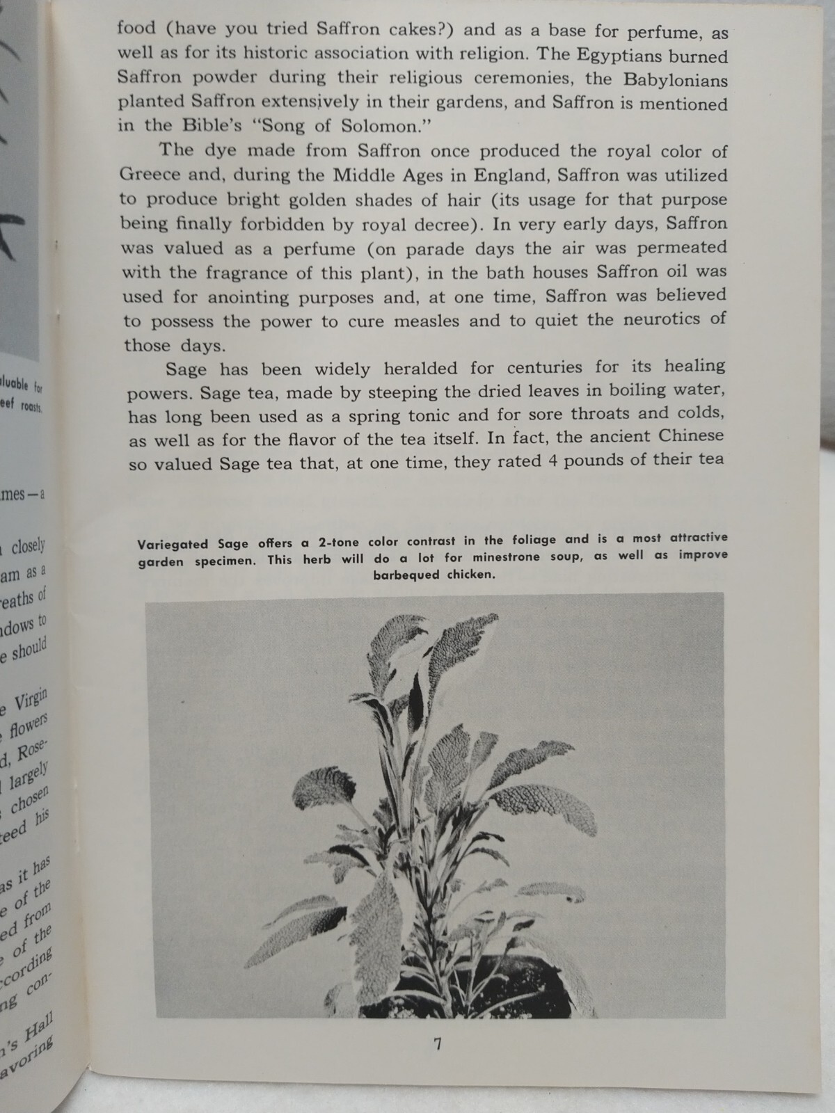 Herb Gardening Countryside Books 1976 Booklet