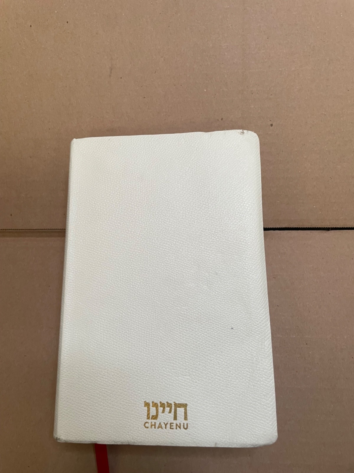Daily Studies in Chitas – The Schottenstein Edition Flexibound Ã¢ÂÂ