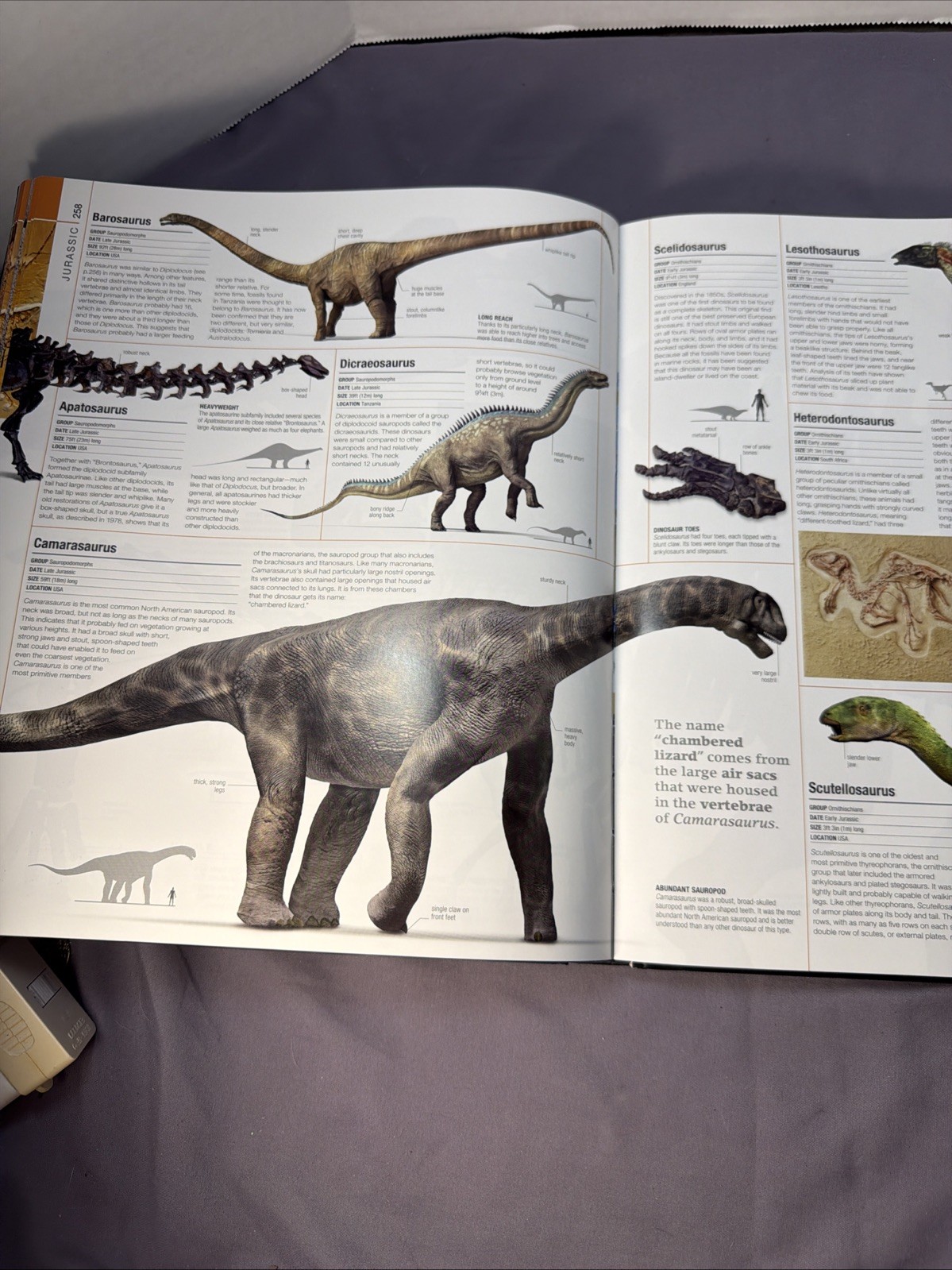 Dinosaurs & Prehistoric Life: The Definitive Visual Guide to Prehistoric Animals