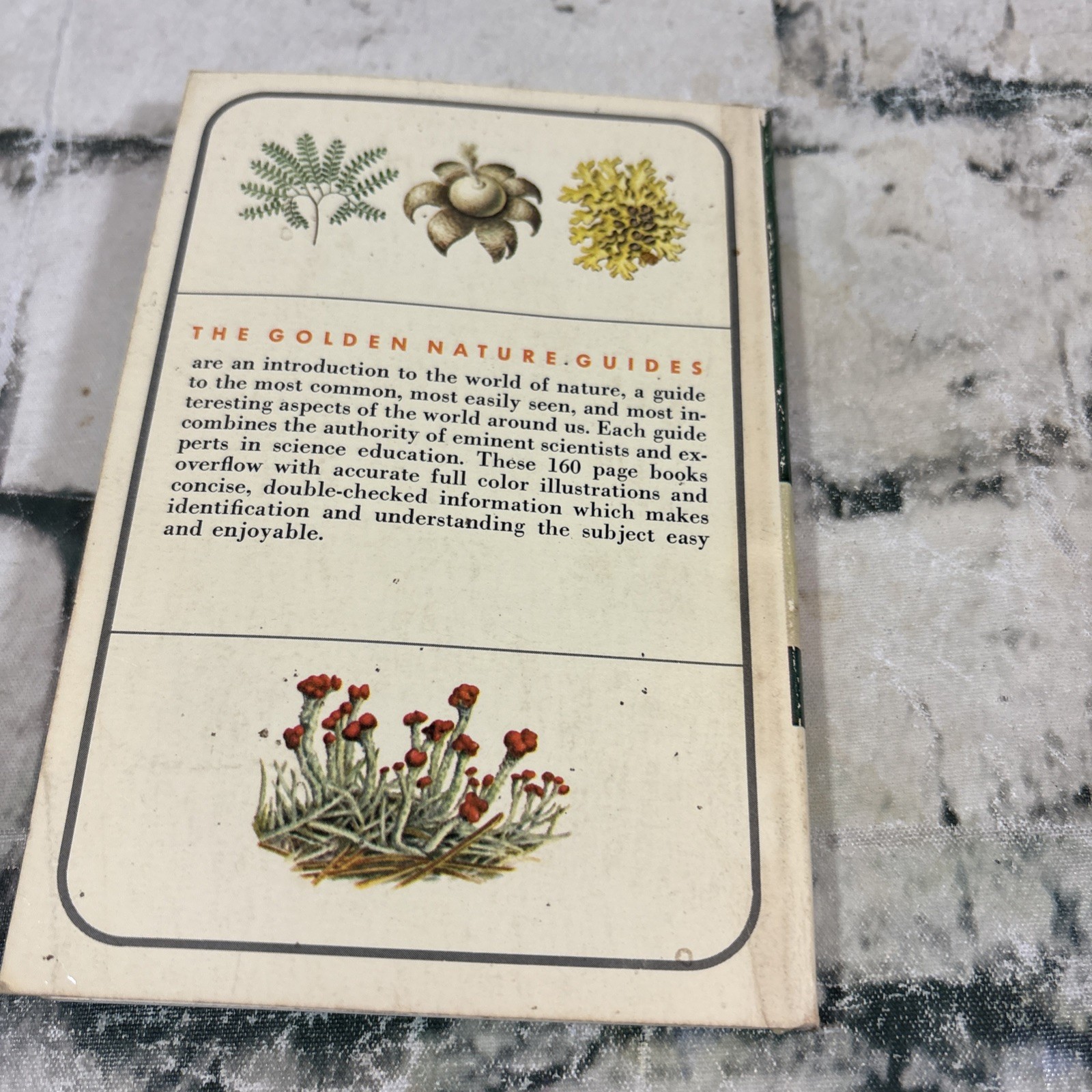 VTG 1967 Non Flowering Plants – Mushrooms and Other Fungi – Full Color Paperback