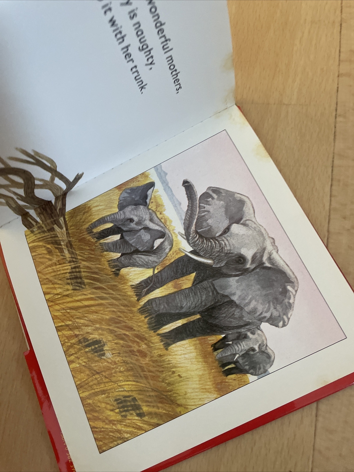 LONGMAN. HELLO ELEPHANT. 17 BY 17CM. HARDCOVER WJACKET 0582390788