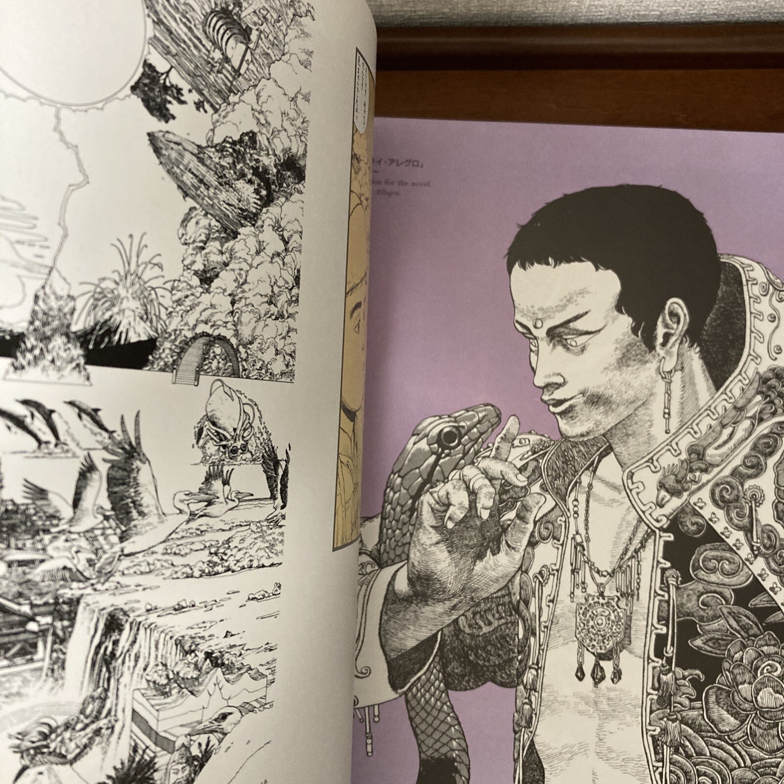 Otomo Katsuhiro Artwork KABA Art Book Illustration
