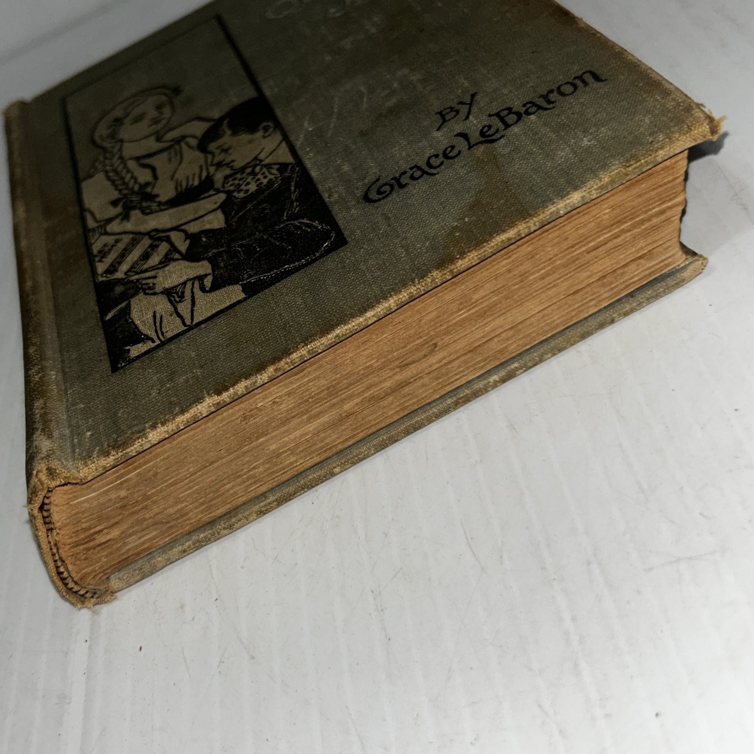Queer Janet Grace Le Baron 1897 Illustrated Children’s Juvenile Lee & Shepard