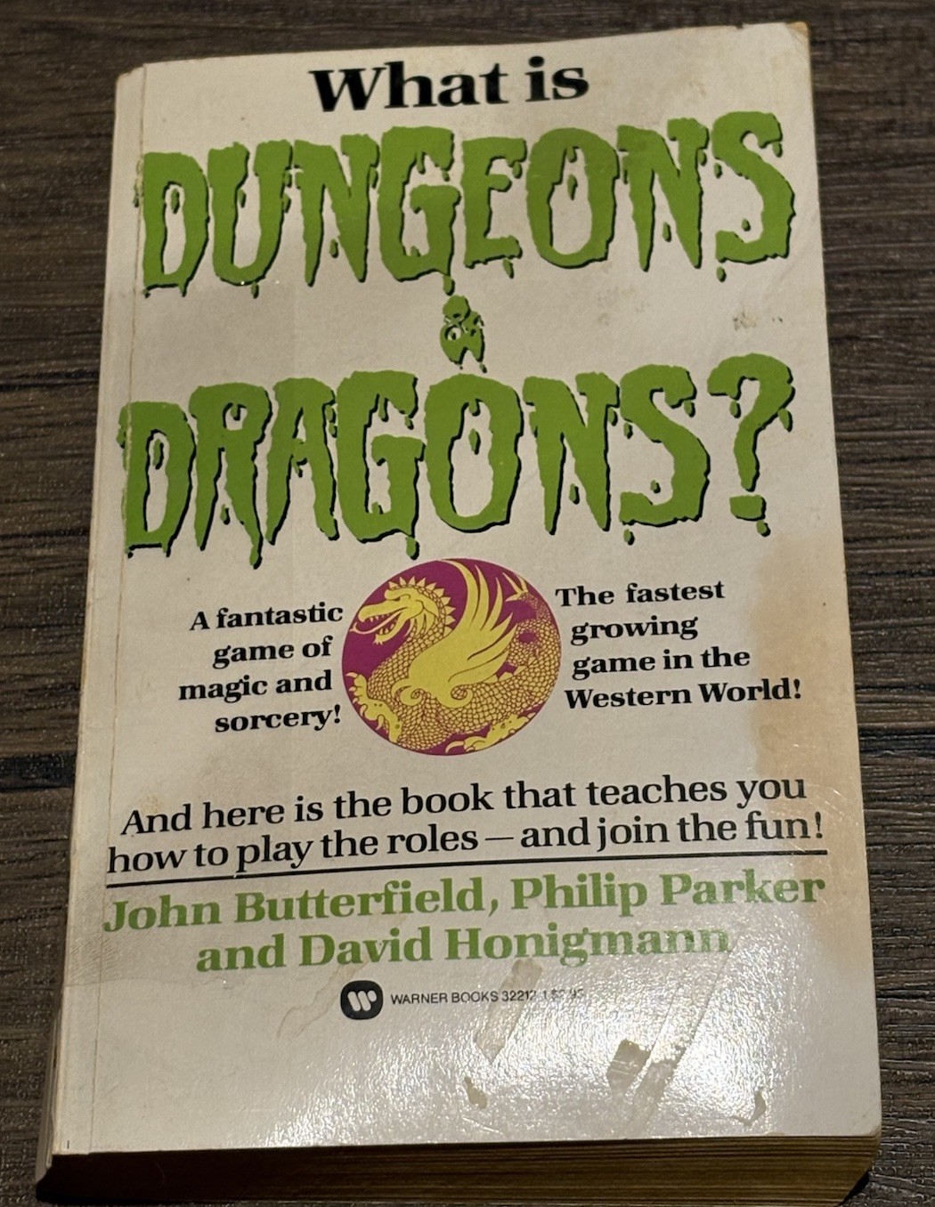 What Is Dungeons and Dragons? 1984 First Warner Books Paperback Butterfield