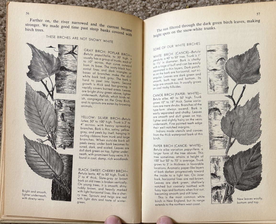 VTG Nature Notebook Robert Candy 1953 HC
