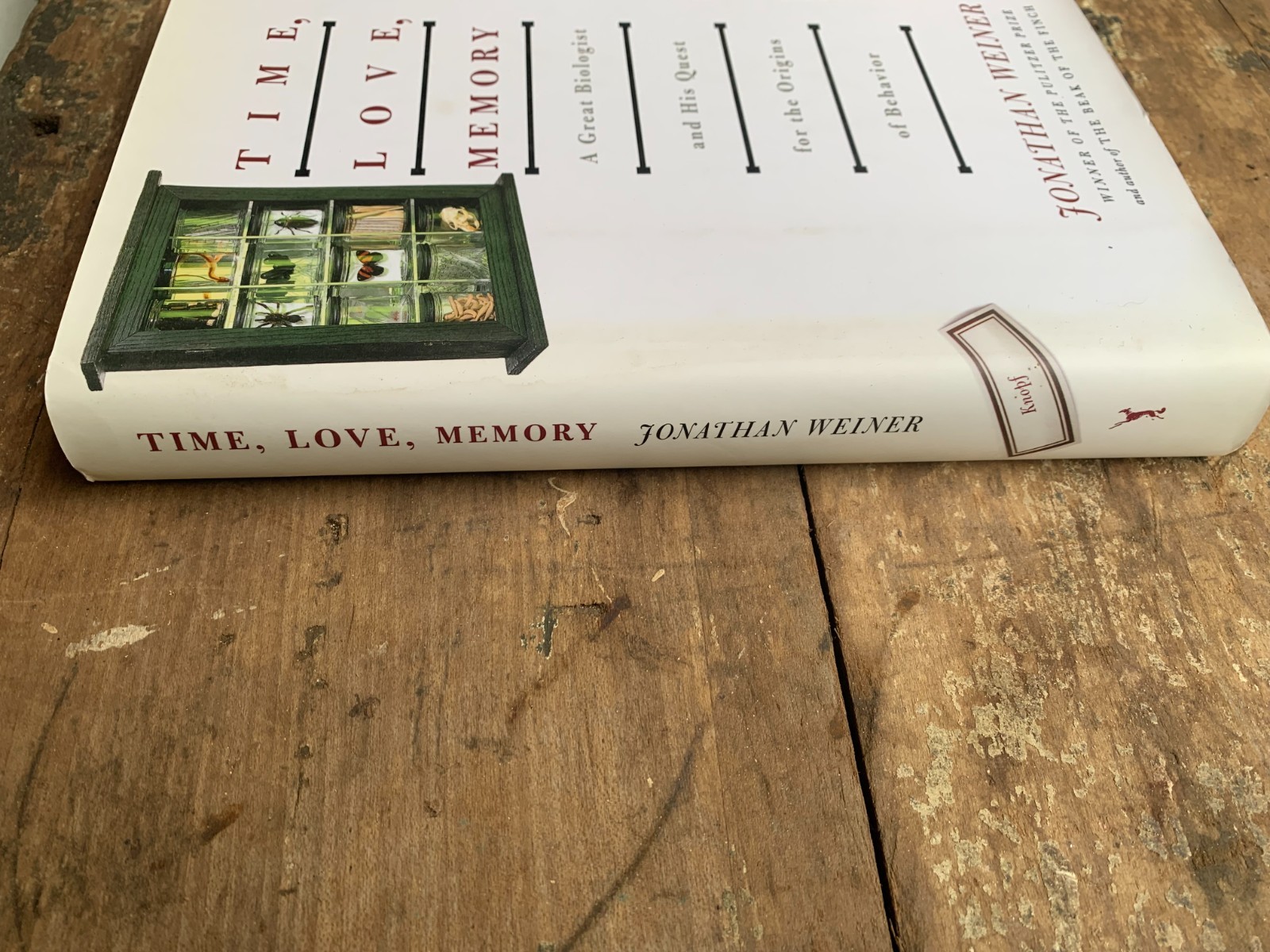 TIME, LOVE, MEMORY-J.Weiner/Genetics/Biology/Evolution/Psychology/NEW/HB/DJ/Illu