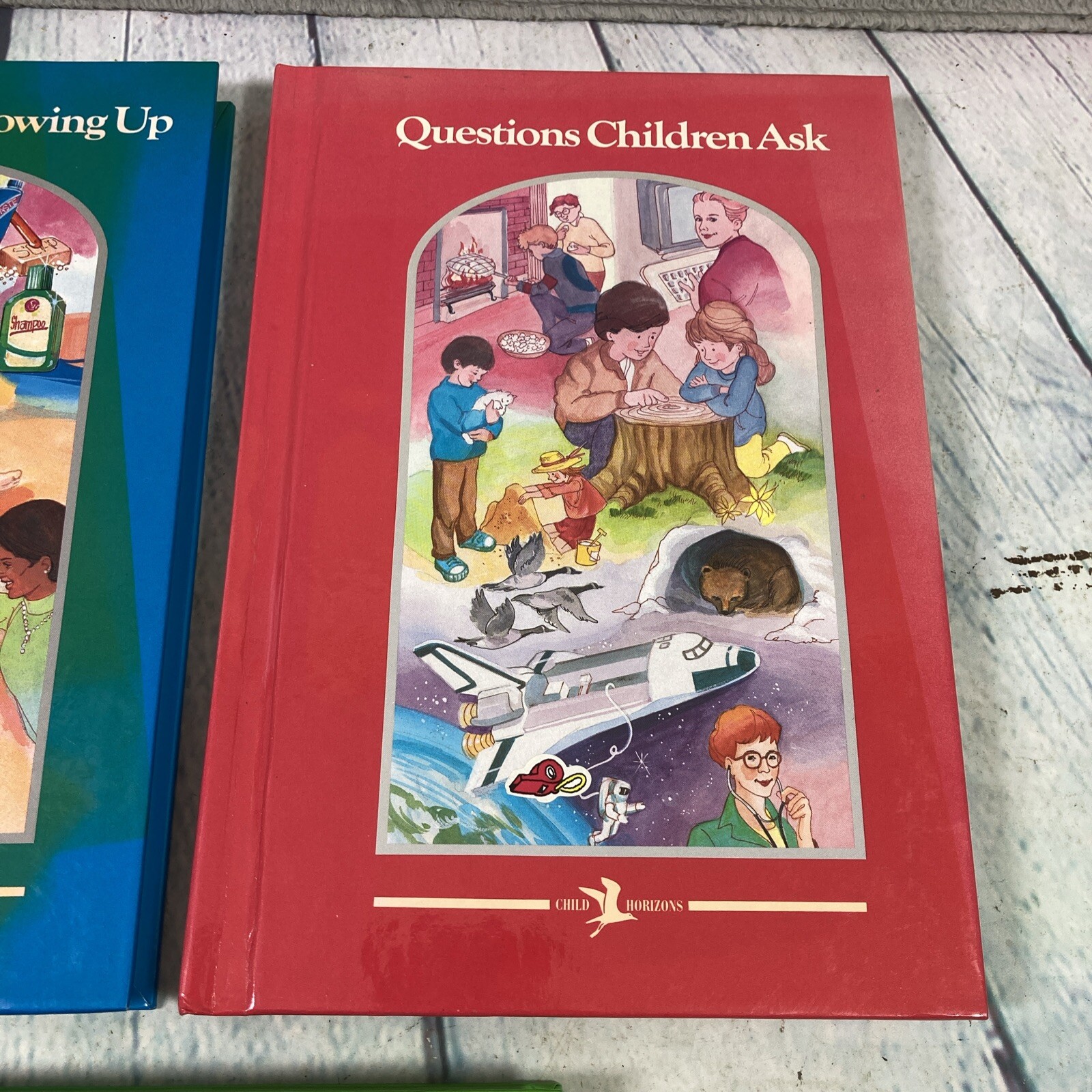 1993 Child Horizons Children Books Lot of 5 Hardback Homeschooling Education