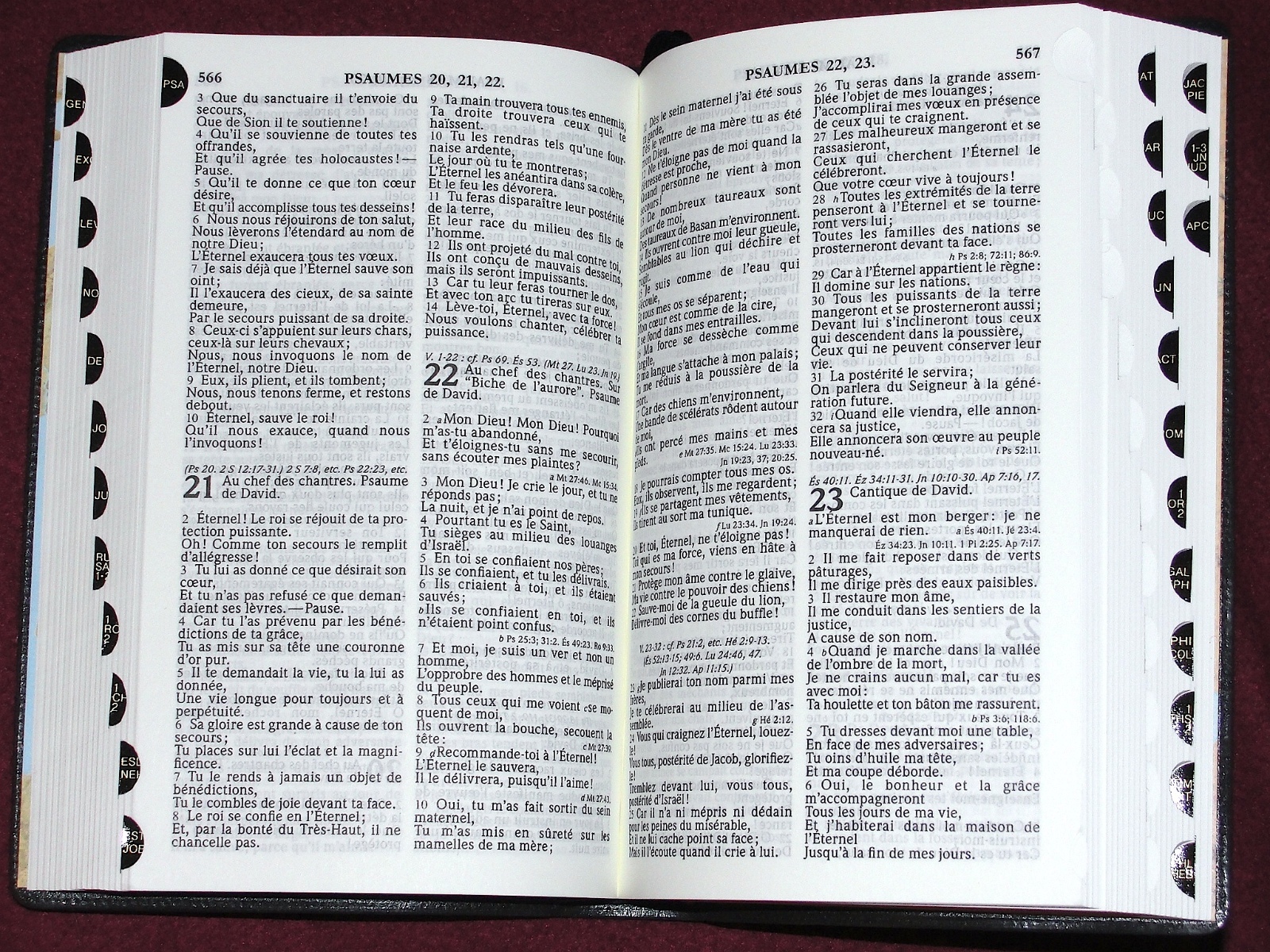 French Bible, La Sainte Bible – Segond 1910 Blue Vinyl, Handheld Thumb Index