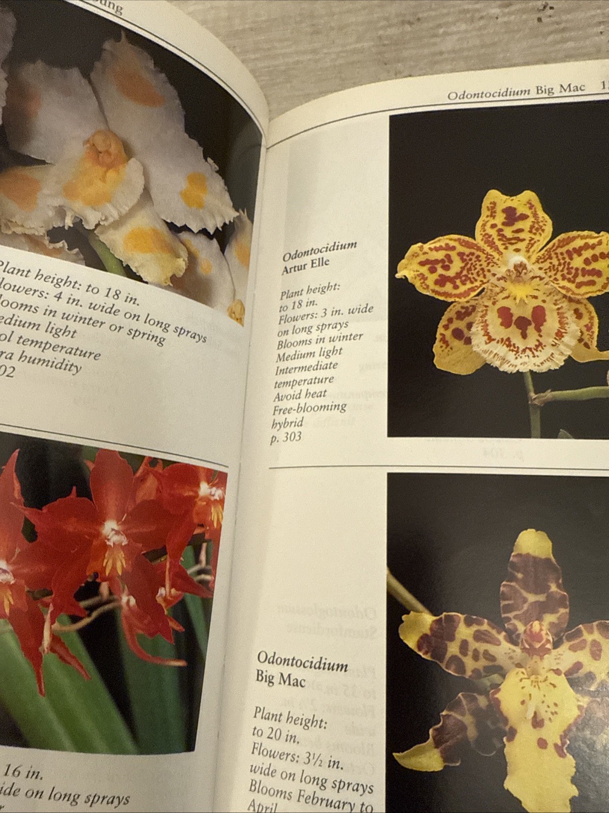Taylor’s Guide to Orchids : More Than 300 Orchids, Photographed and…