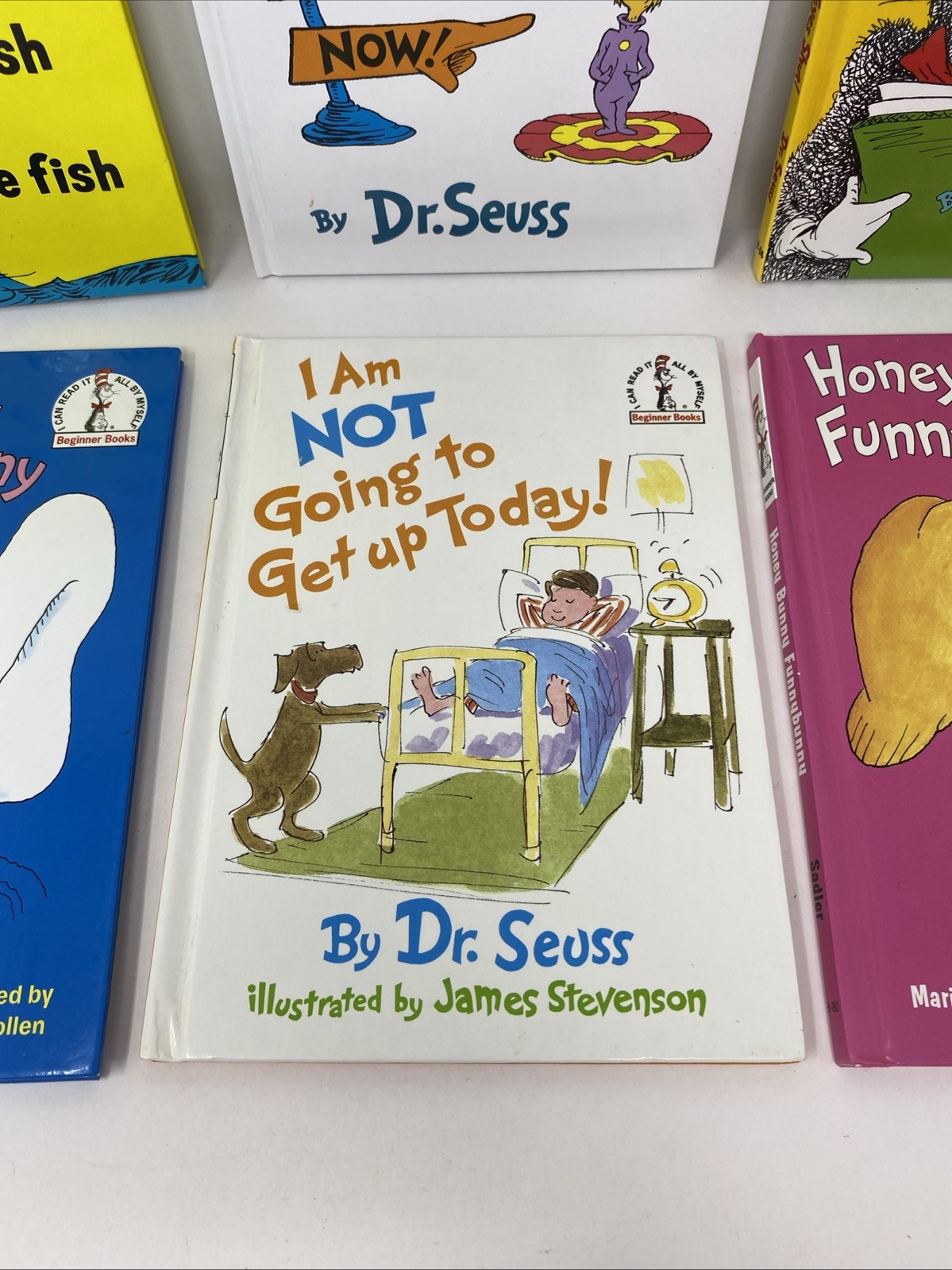 Lot of 6 Dr. Seuss Cat In The Hat Beginner Books HC 9.25 x 6.75 FREE SHIPPING!