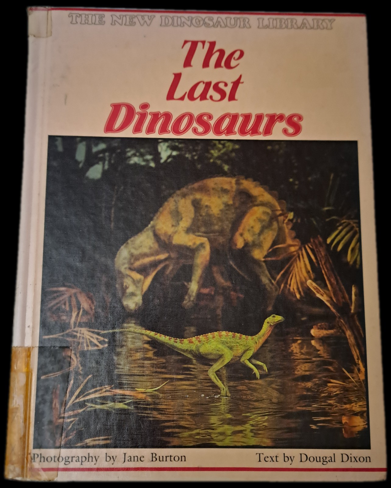 Lot of 7 Dinosaur Prehistoric Era Educational Kids Children Books Dinosaurs 🦕