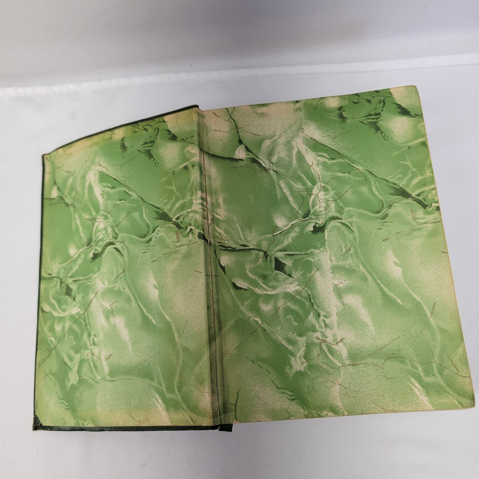 1927 POE COMPLETE WORKS Book Edger A. Poe Collier By Walter J. Black Co