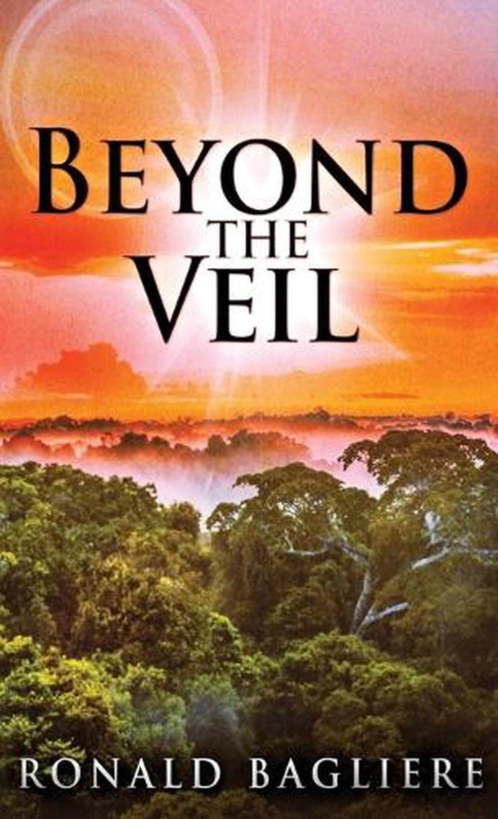 Beyond the Veil by Ronald Bagliere Hardcover Book